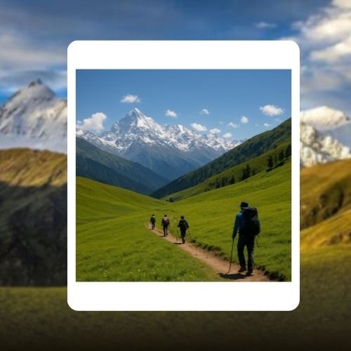 Ali Bedni Bugyal Trek 